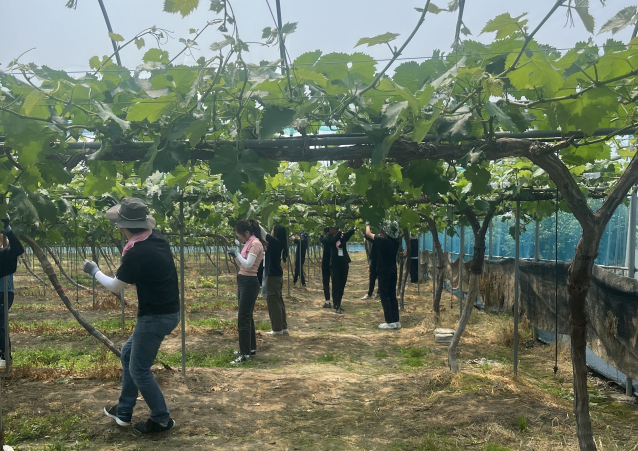 external_image external_image